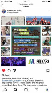 Meraki veterinary employee experience survey