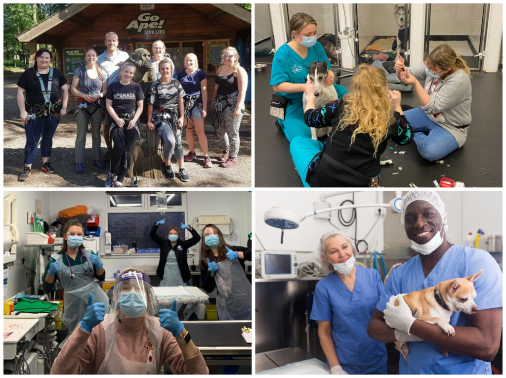 Meraki Veterinary EMS Grants The Meraki Initiative