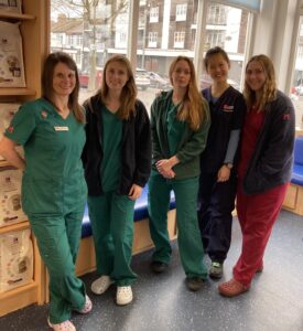 Veterinary student on EMS placement with the nursing team