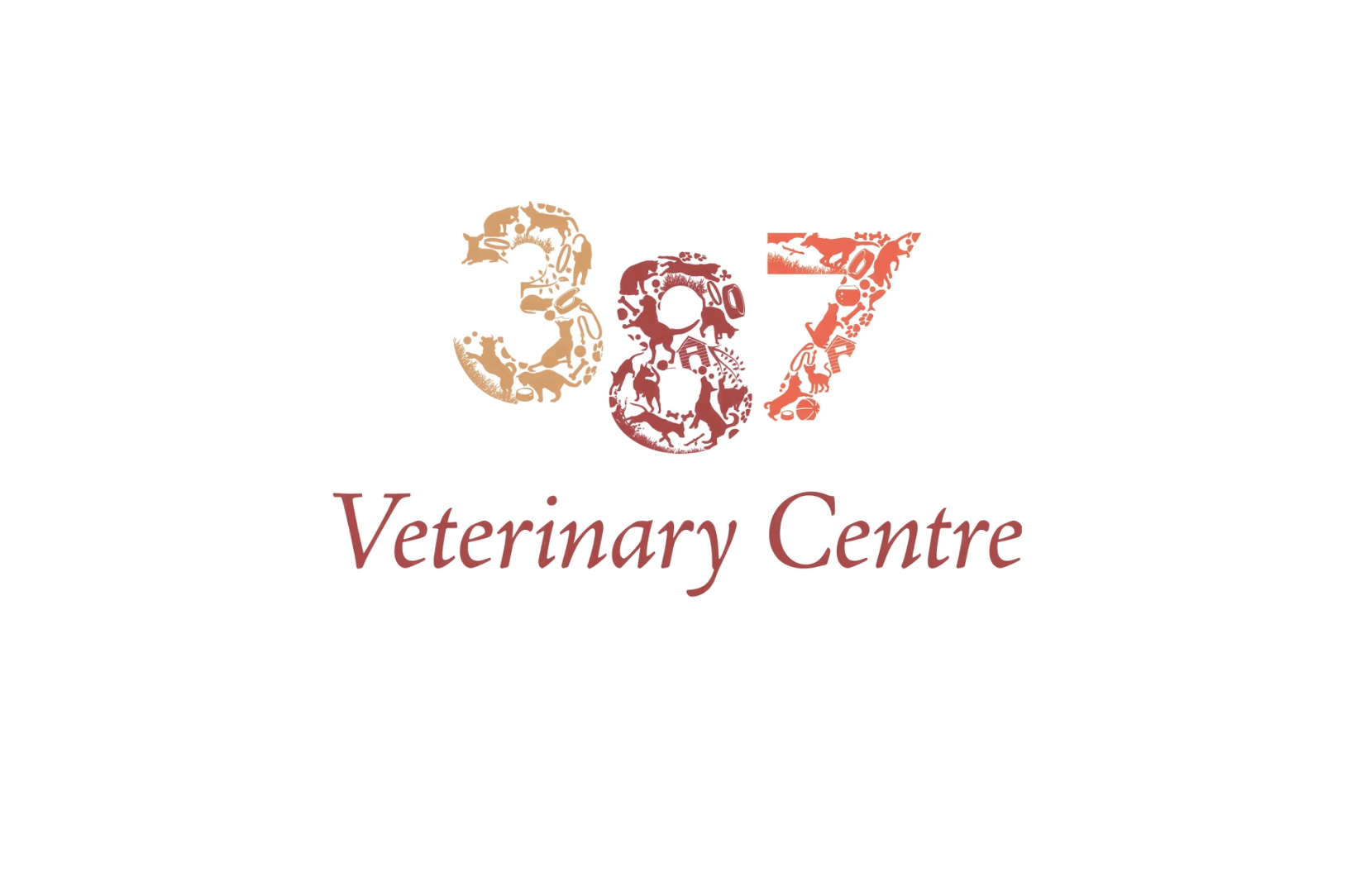 Meraki Veterinary Leadership Spotlight: 387 Veterinary Centre